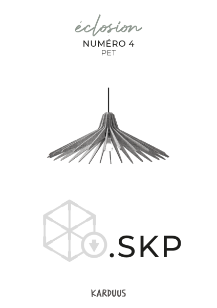 karduus 3d skp k4 pet