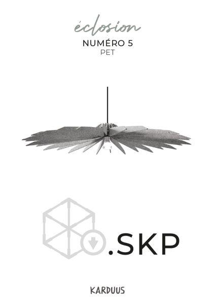 karduus 3d skp k5 pet
