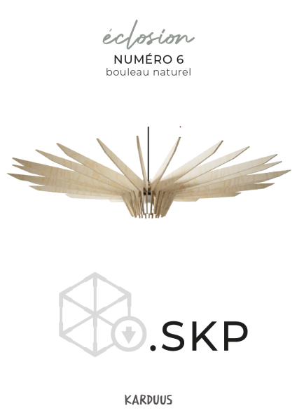 karduus 3d skp k6 raw
