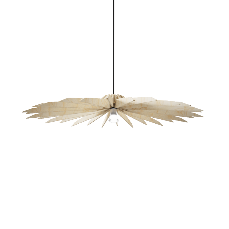 numÉro 1 bouleau naturel