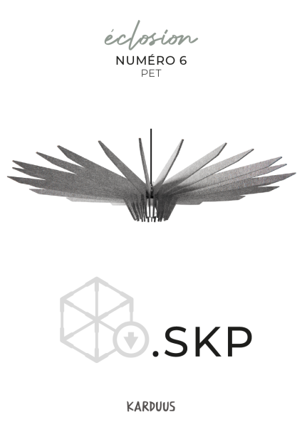 karduus 3d skp k6 pet