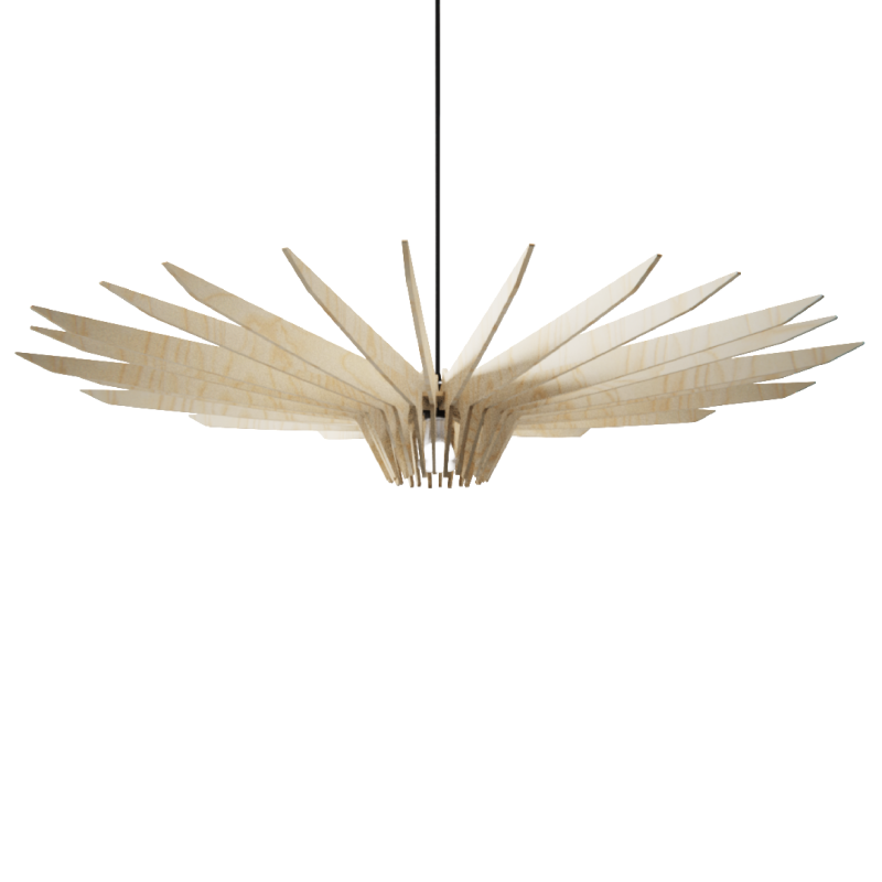 numÉro 1 bouleau naturel