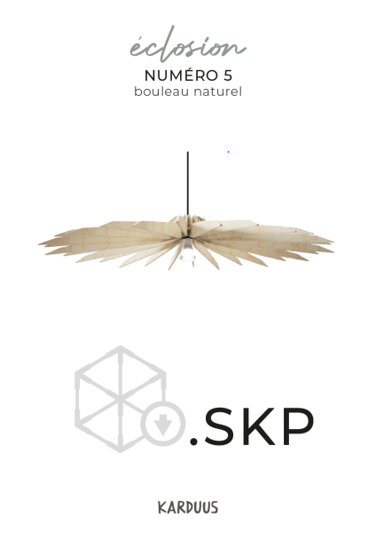 karduus 3d skp k5 raw