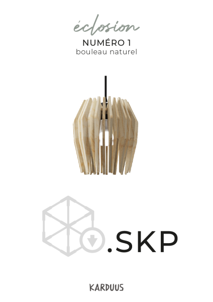 karduus 3d skp k1 raw